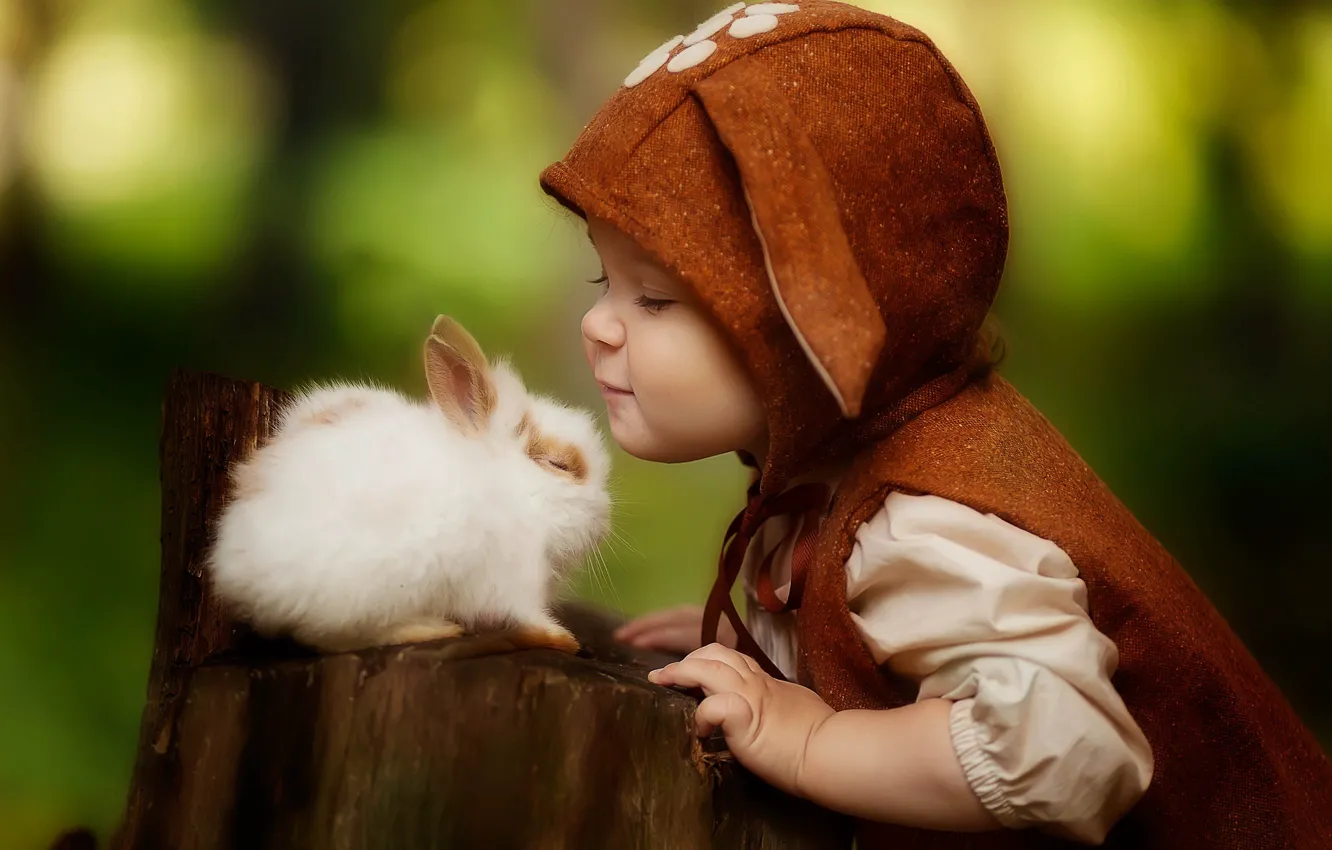 Photo wallpaper each, stump, boy, rabbit, Lyubov Pyatovskaya