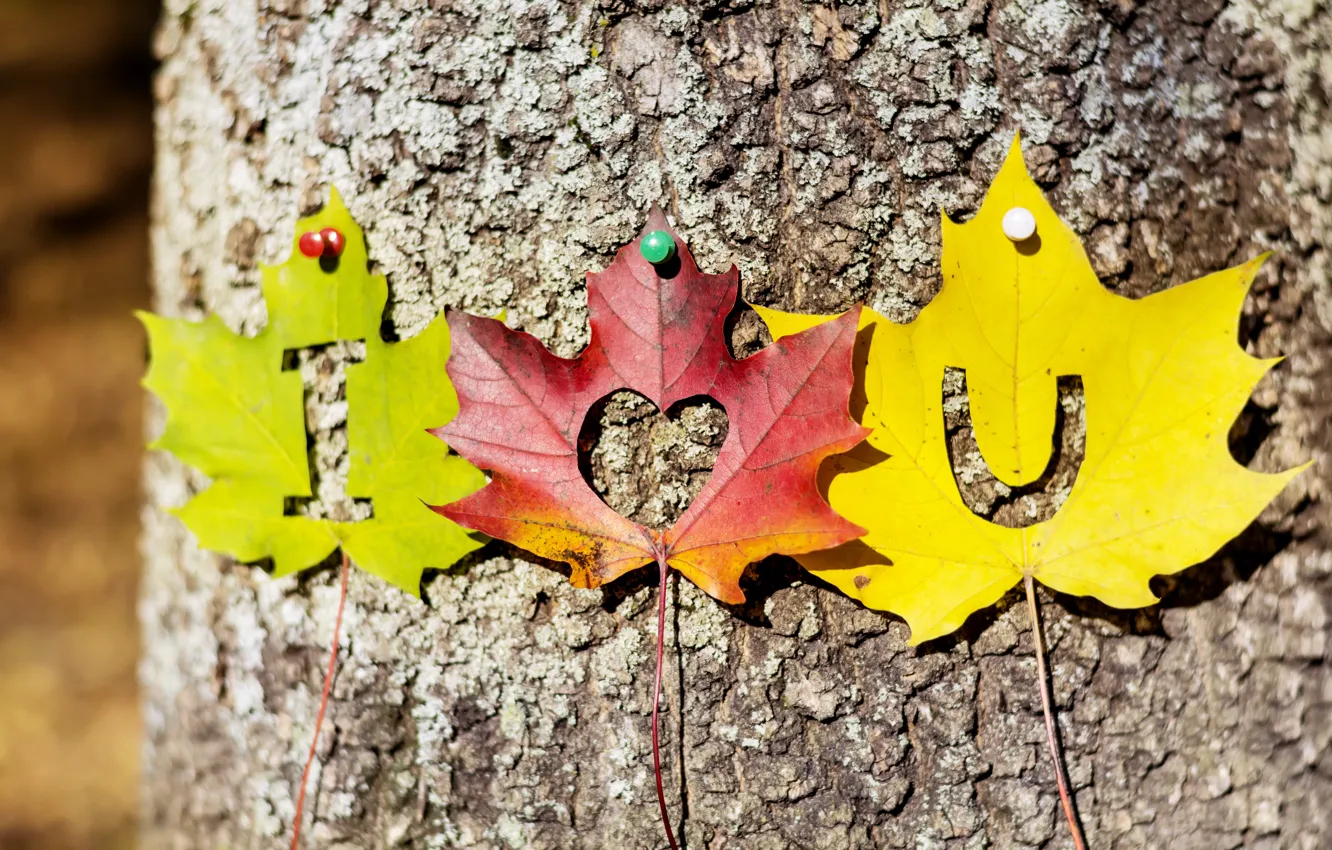Photo wallpaper autumn, leaves, trees, love, heart, colorful, love, i love you