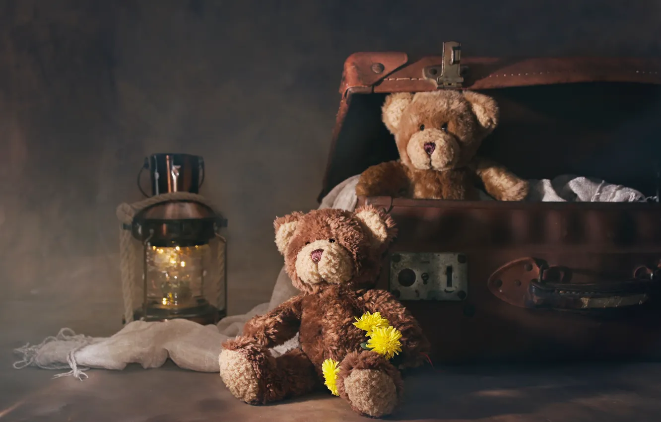 Photo wallpaper flowers, lantern, suitcase, Teddy bears