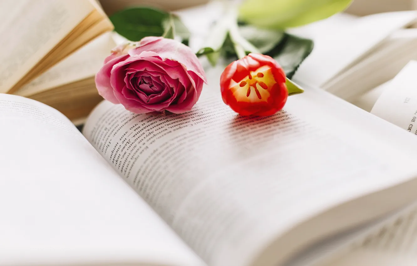 Photo wallpaper flowers, roses, tulips, book, pink, rose, buds, flower