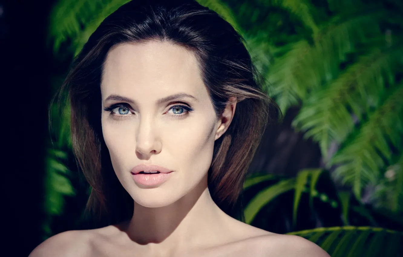Photo wallpaper portrait, Angelina Jolie, celebrity