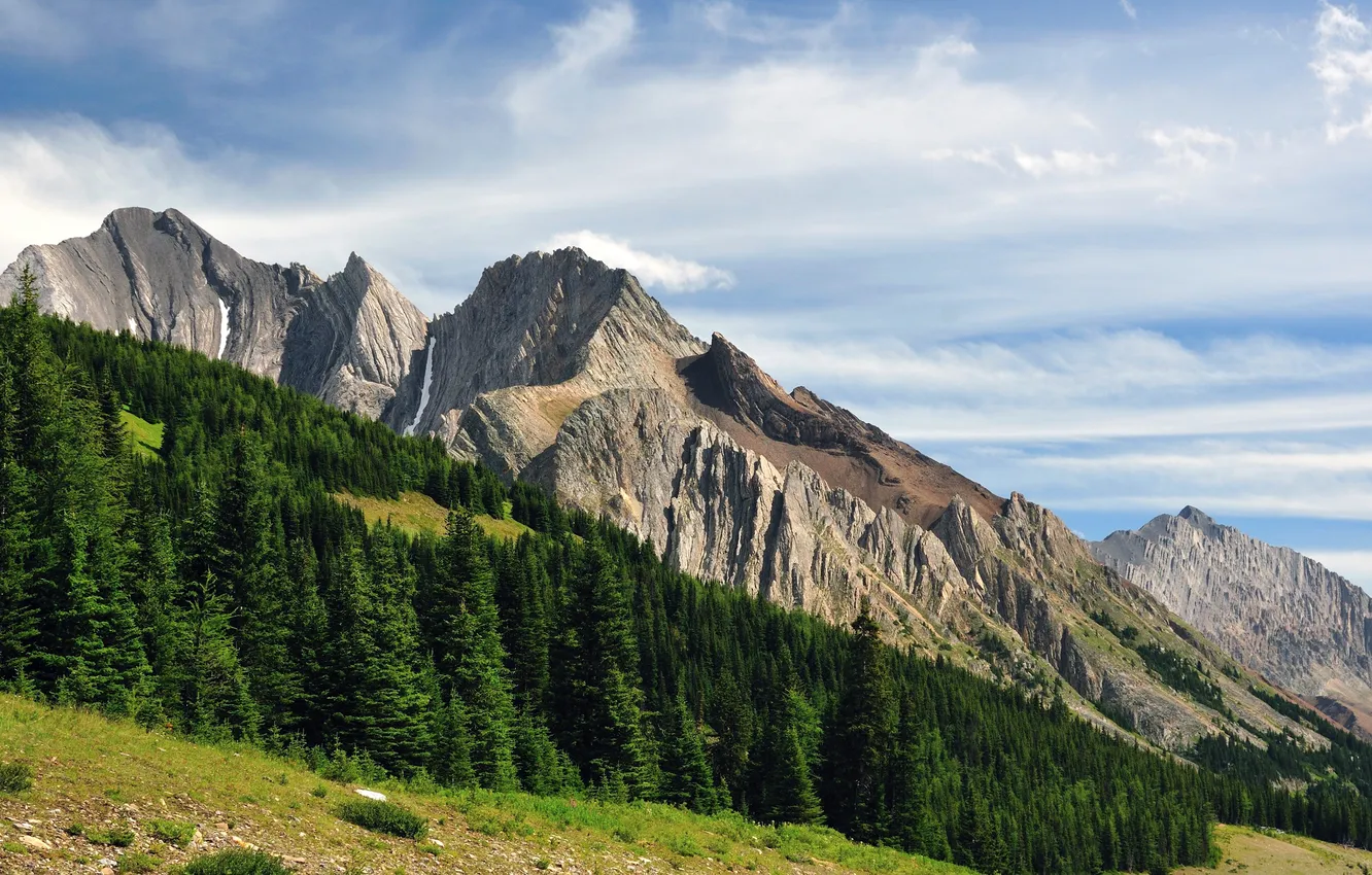 Photo wallpaper the sky, trees, mountains, Alberta, Canada, Kananaskis
