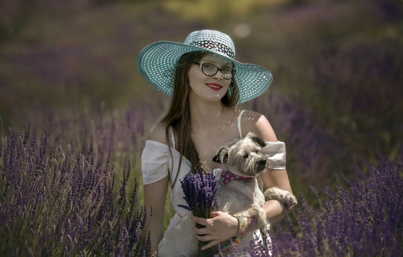 Photo wallpaper dog, lady, lavender