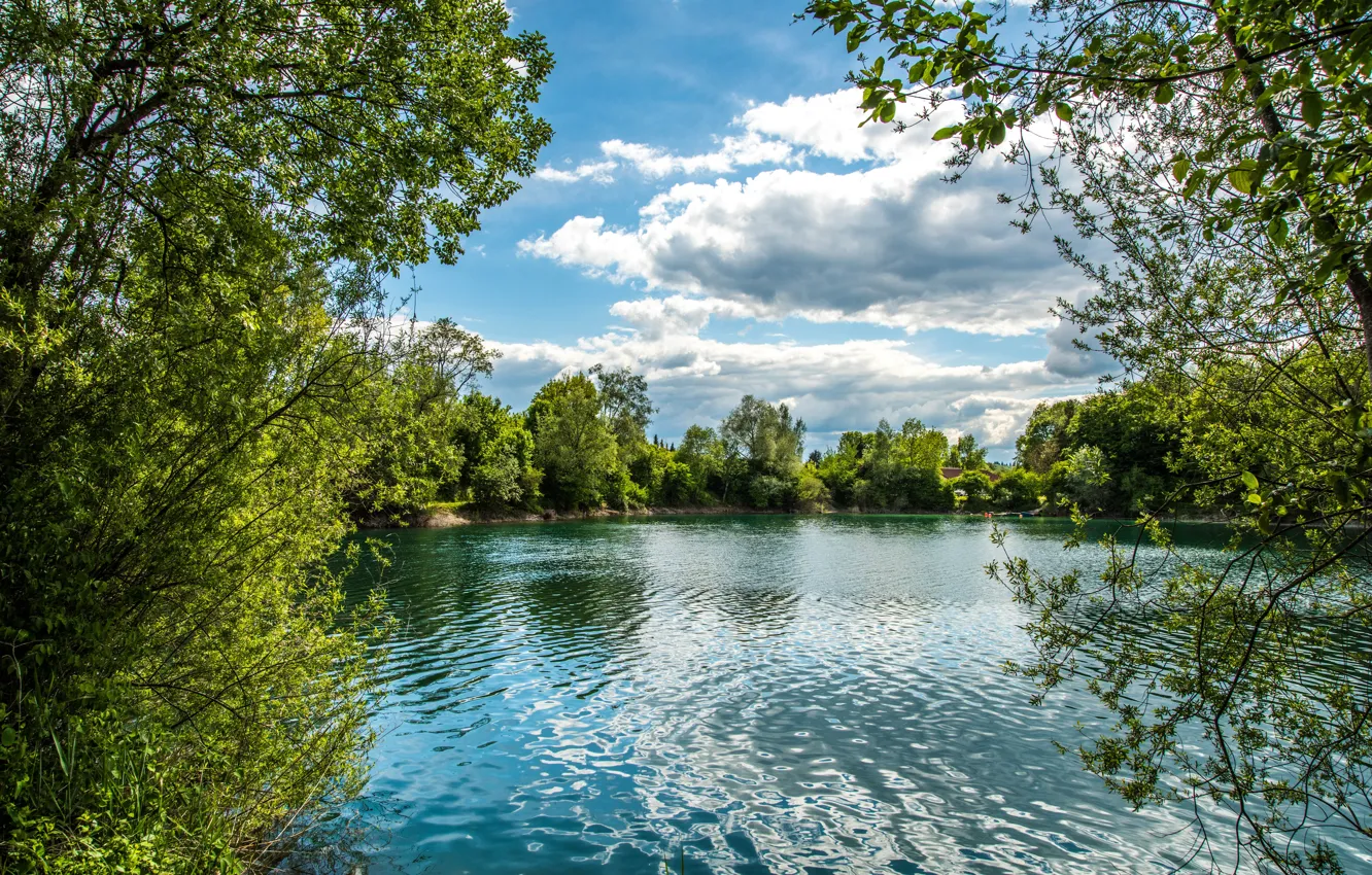 Photo wallpaper greens, summer, the sky, the sun, clouds, trees, branches, lake