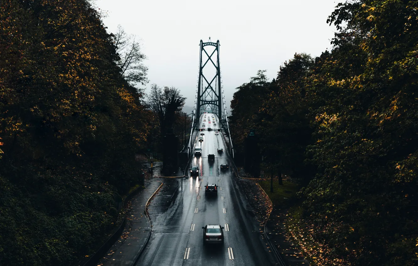 Photo wallpaper road, machine, autumn, trees, bridge, the city, wet