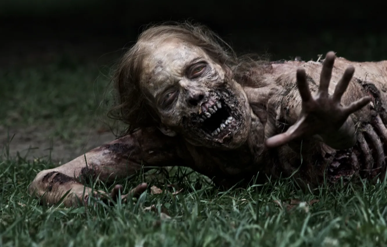 Photo wallpaper grass, zombies, zombie, the series, serial, The Walking Dead, The walking dead