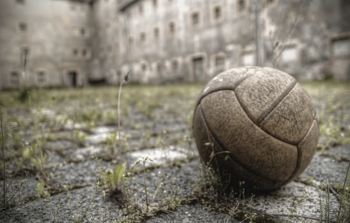Photo wallpaper sport, the ball, yard