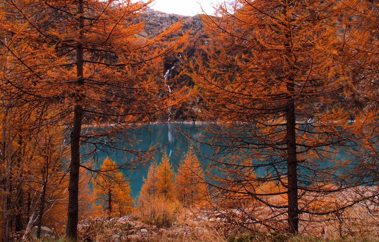 Photo wallpaper autumn, forest, trees, mountains, nature, lake, forest, trees