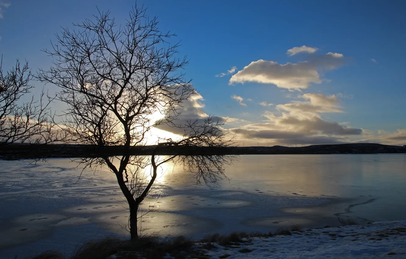 Photo wallpaper ice, winter, the sun, sunset, lake, tree, cloud