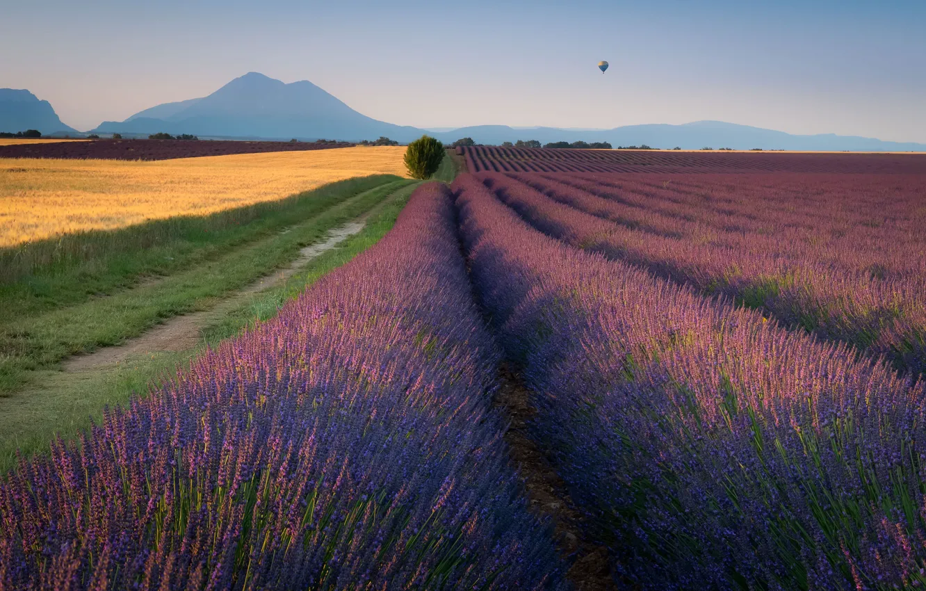 Photo wallpaper field, the sky, flight, flowers, mountains, balloon, hills, perspective