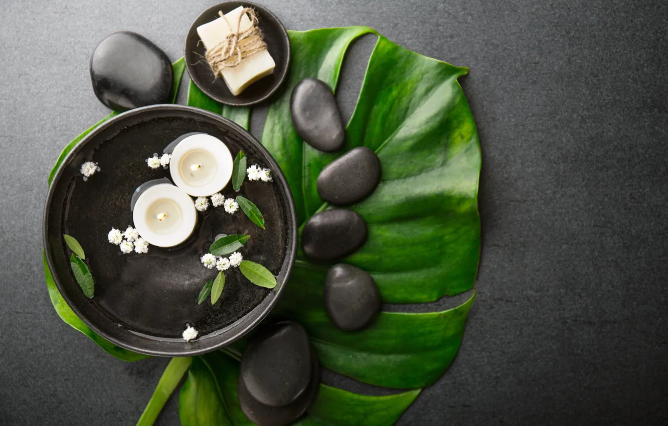 Photo wallpaper leaves, water, flowers, pebbles, stones, background, black, candles