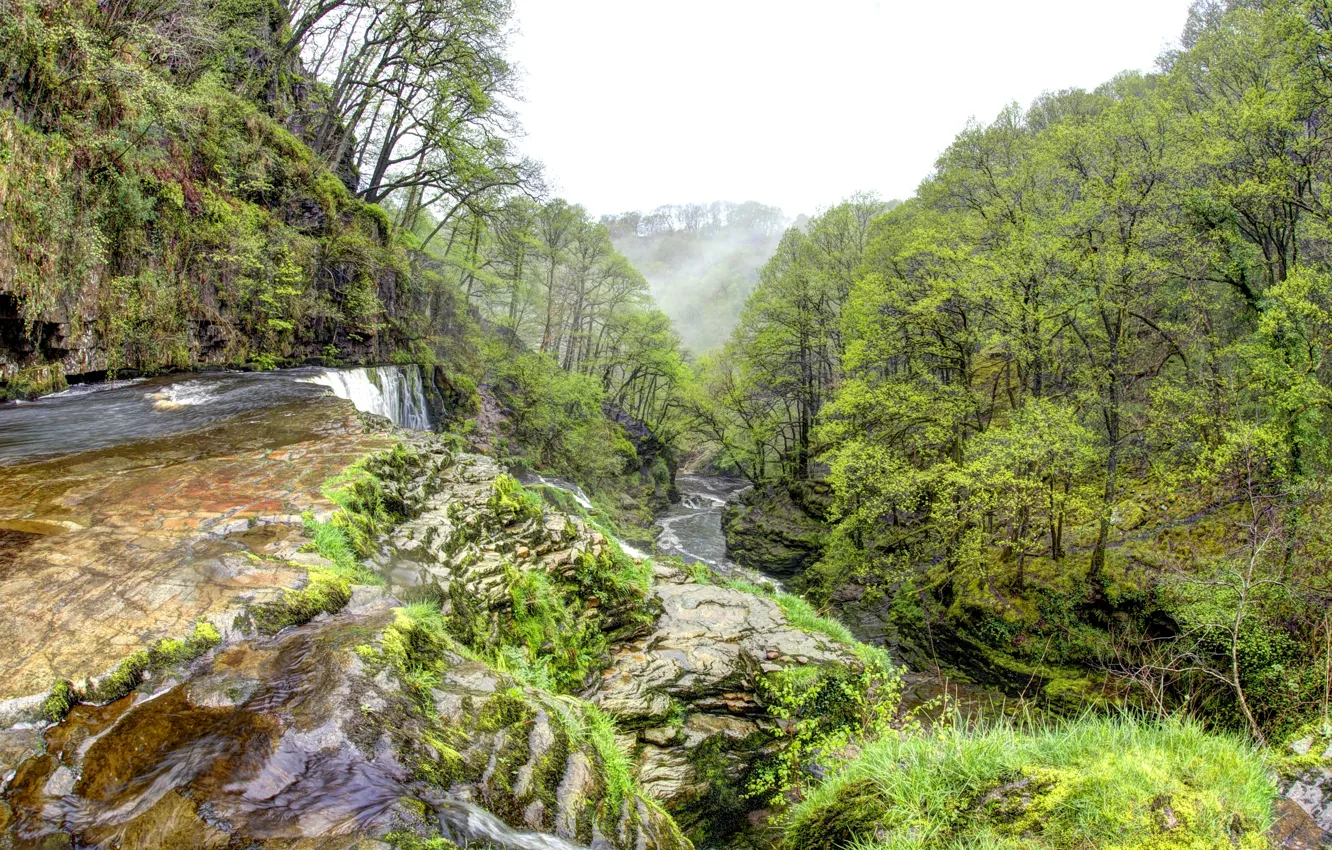 Photo wallpaper forest, trees, fog, stream, stones, waterfall, morning, UK