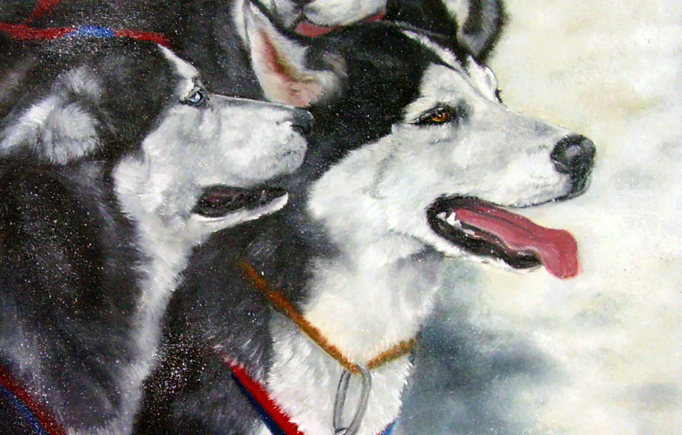 Photo wallpaper winter, dogs, look, pose, oil, portrait, dog, painting