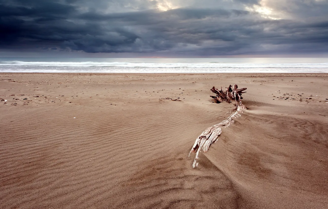 Photo wallpaper sea, beach, landscape, night, nature, log