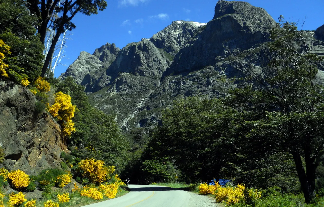 Photo wallpaper road, trees, landscape, flowers, mountains, nature, the bushes, Patagonia