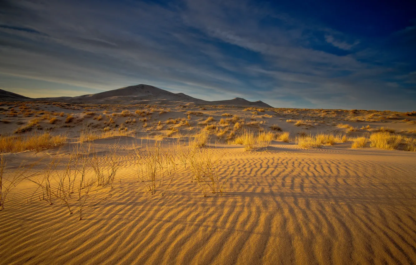 Photo wallpaper sand, the sky, nature, hills, desert, the bushes