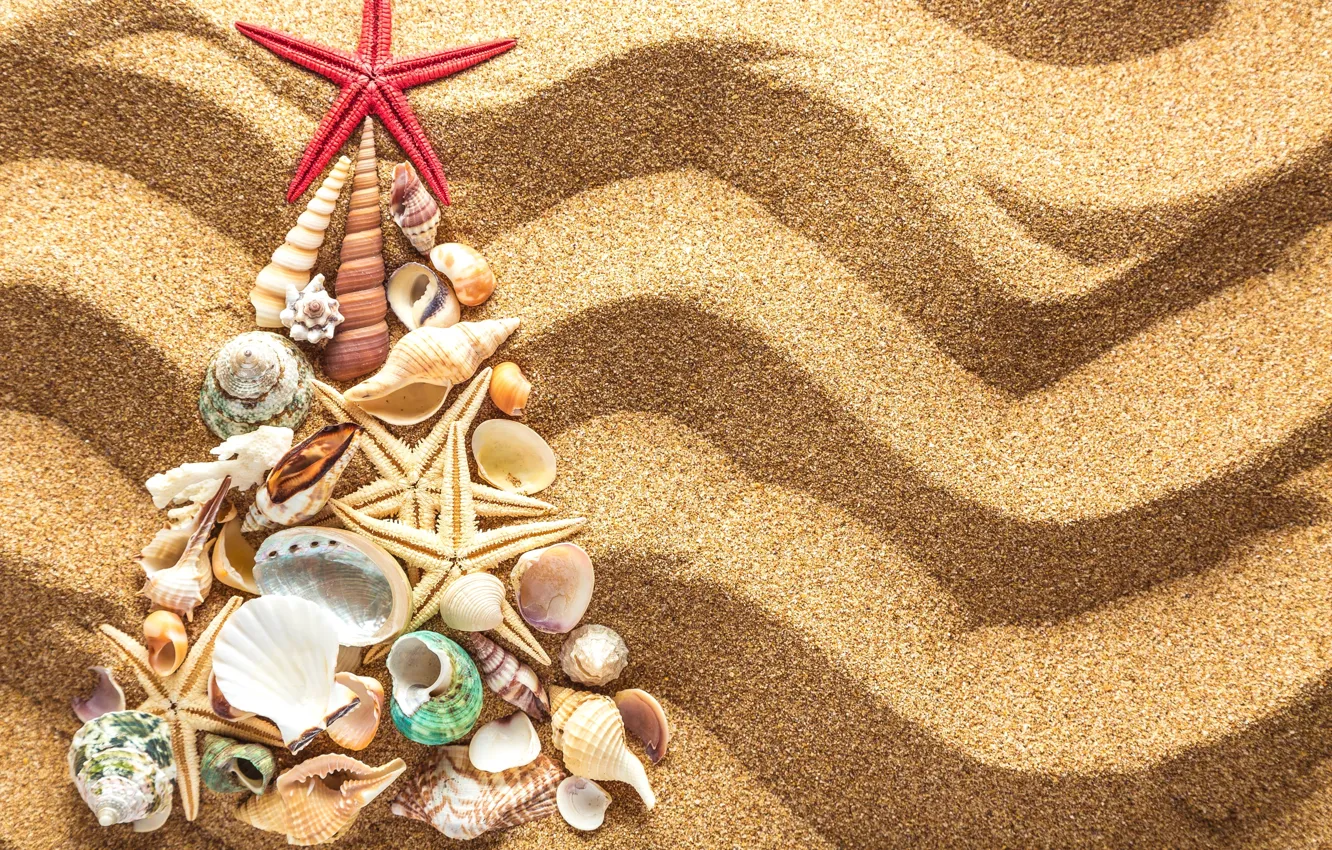 Photo wallpaper sand, decoration, tree, New Year, shell, Christmas, beach, tree