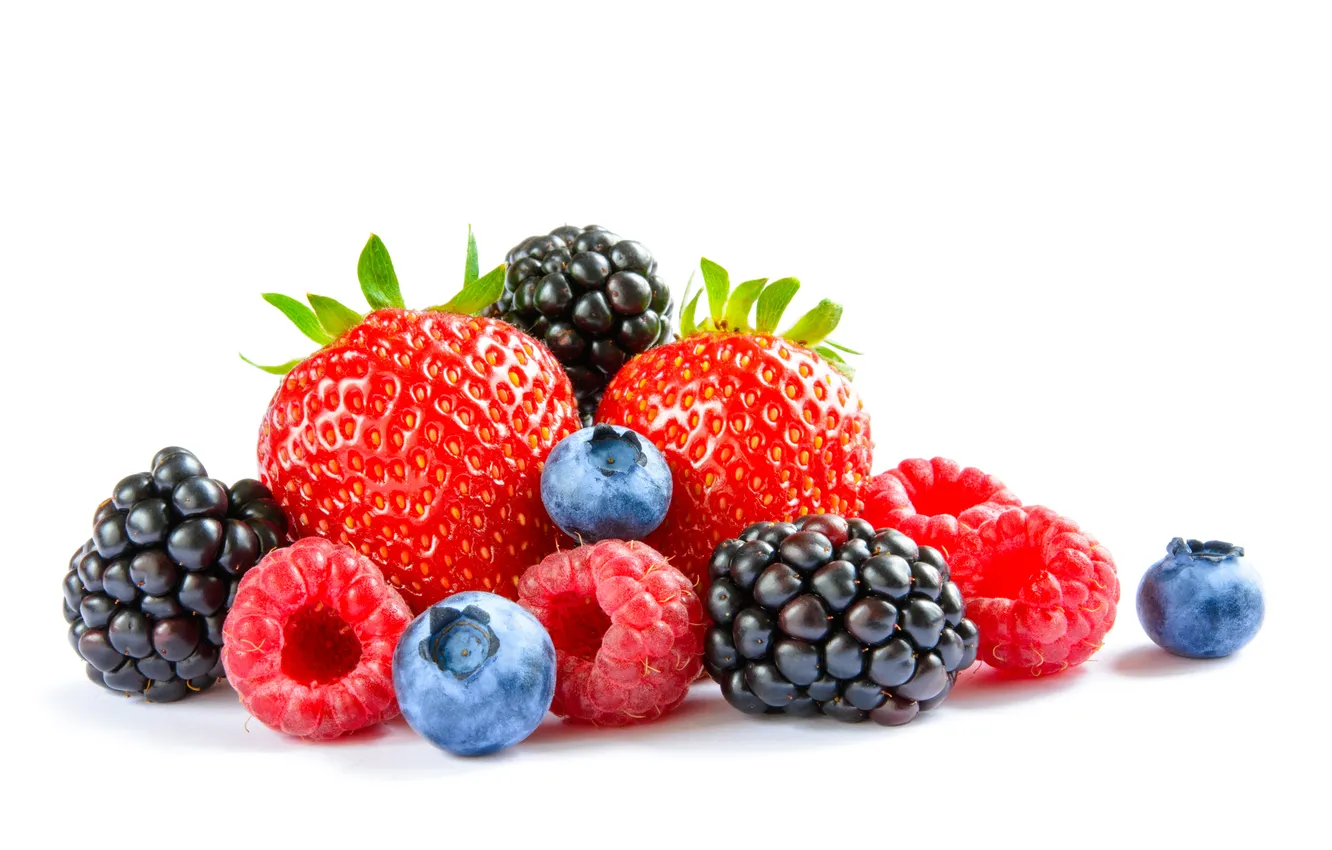 Photo wallpaper berry, black, blue, blueberry, blackberry, Collection, closeup