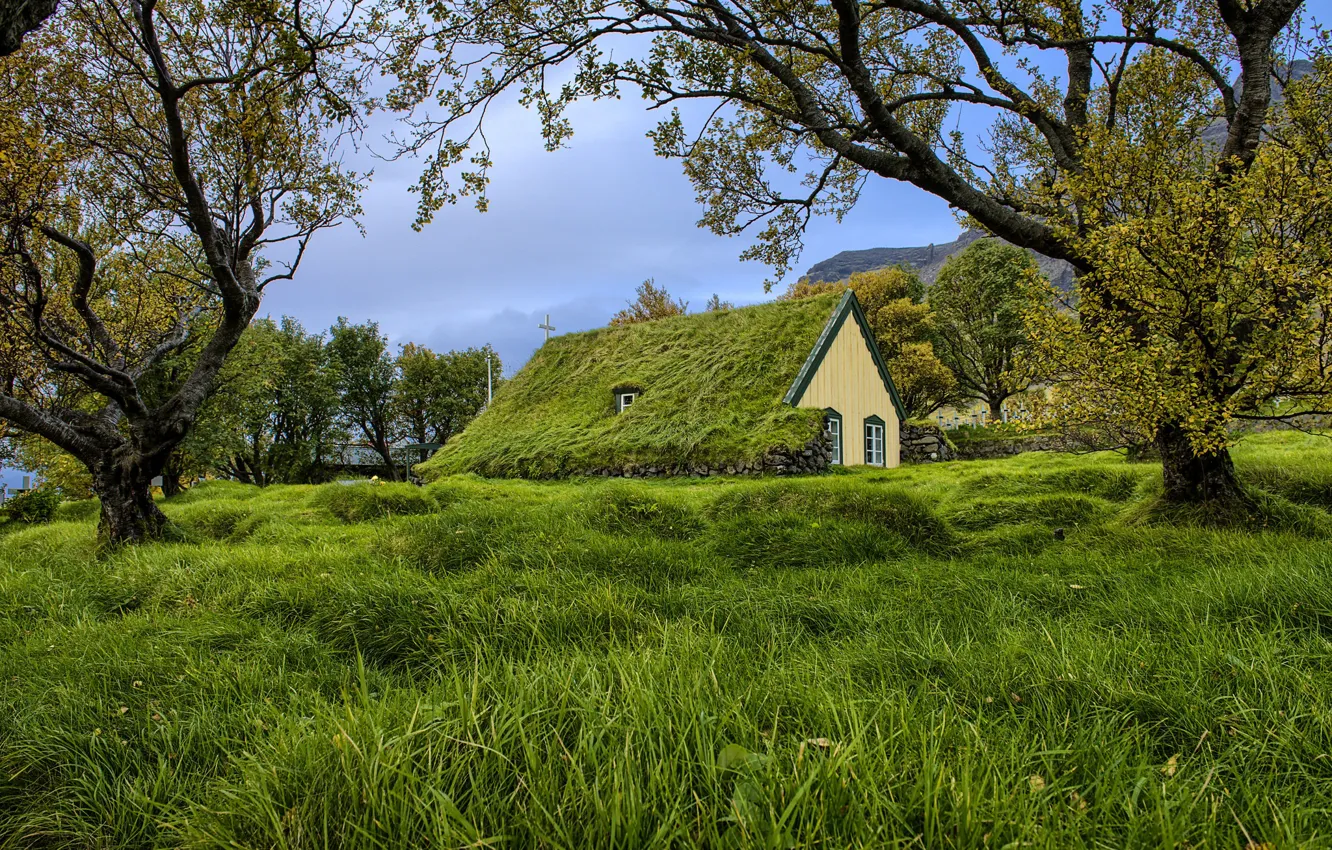 Photo wallpaper grass, trees, church, cloudy, Turf Church