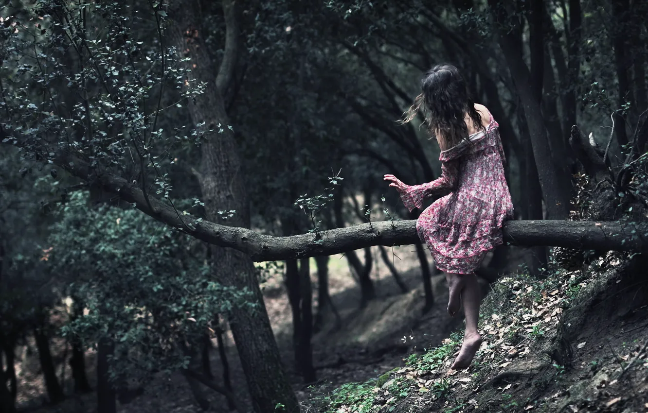 Photo wallpaper girl, background, tree