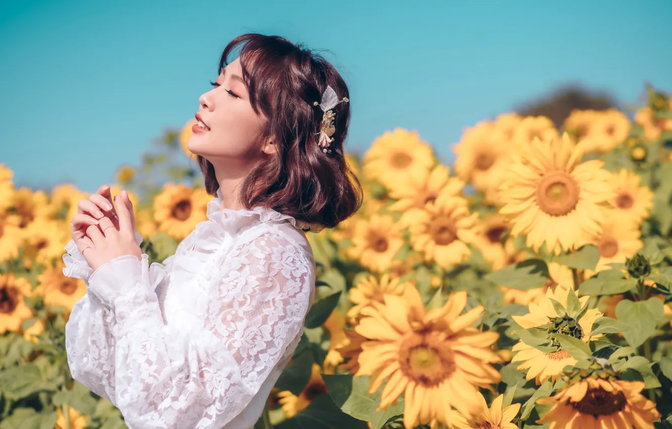 Photo wallpaper girl, sunflowers, pose, sweetheart, brown hair, Asian