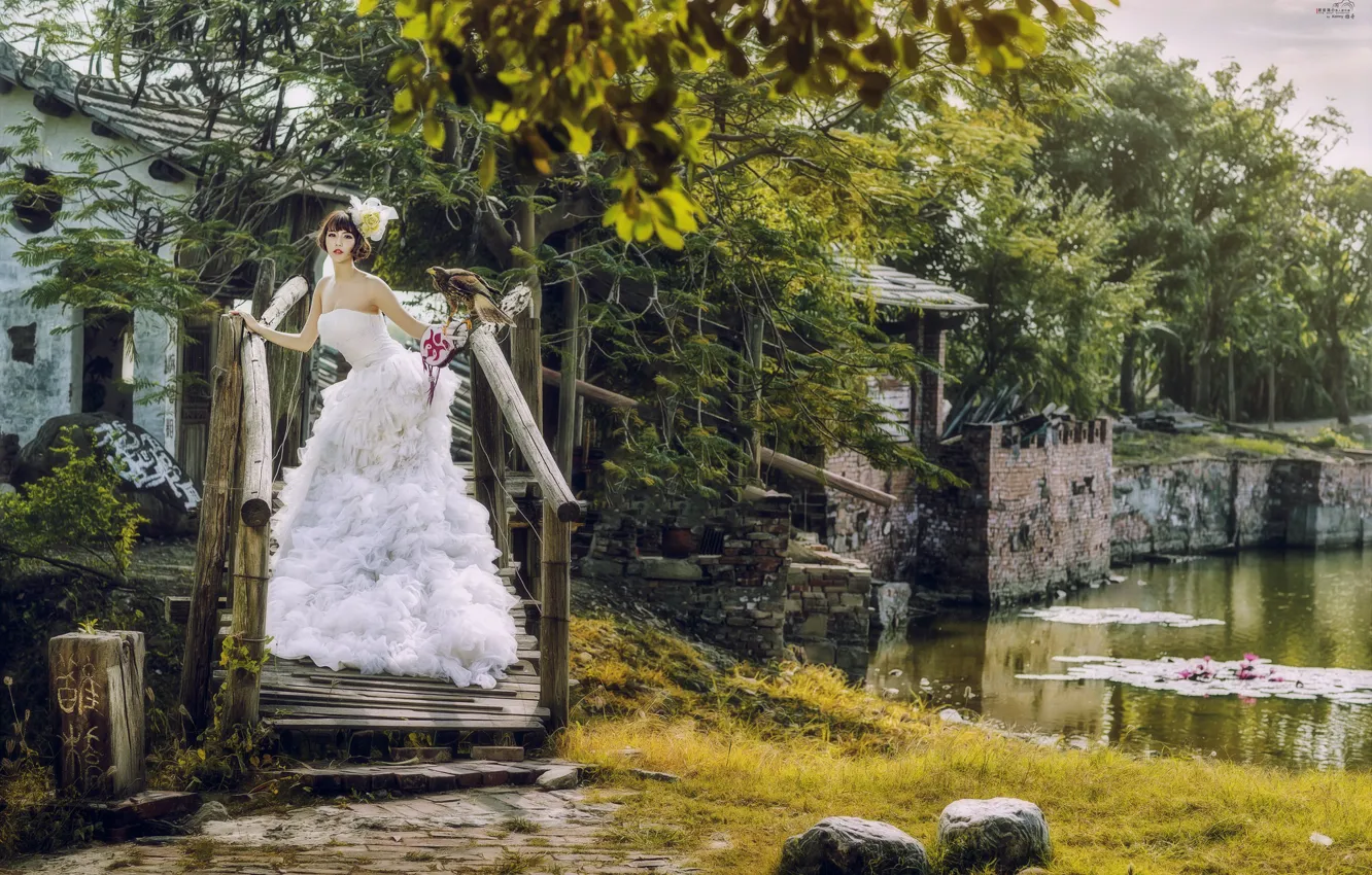 Photo wallpaper look, girl, bird