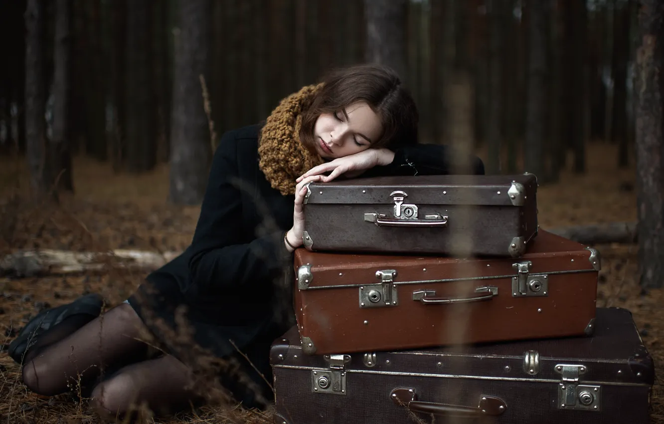 Photo wallpaper autumn, forest, girl, trees, loneliness, the situation, the evening, brunette