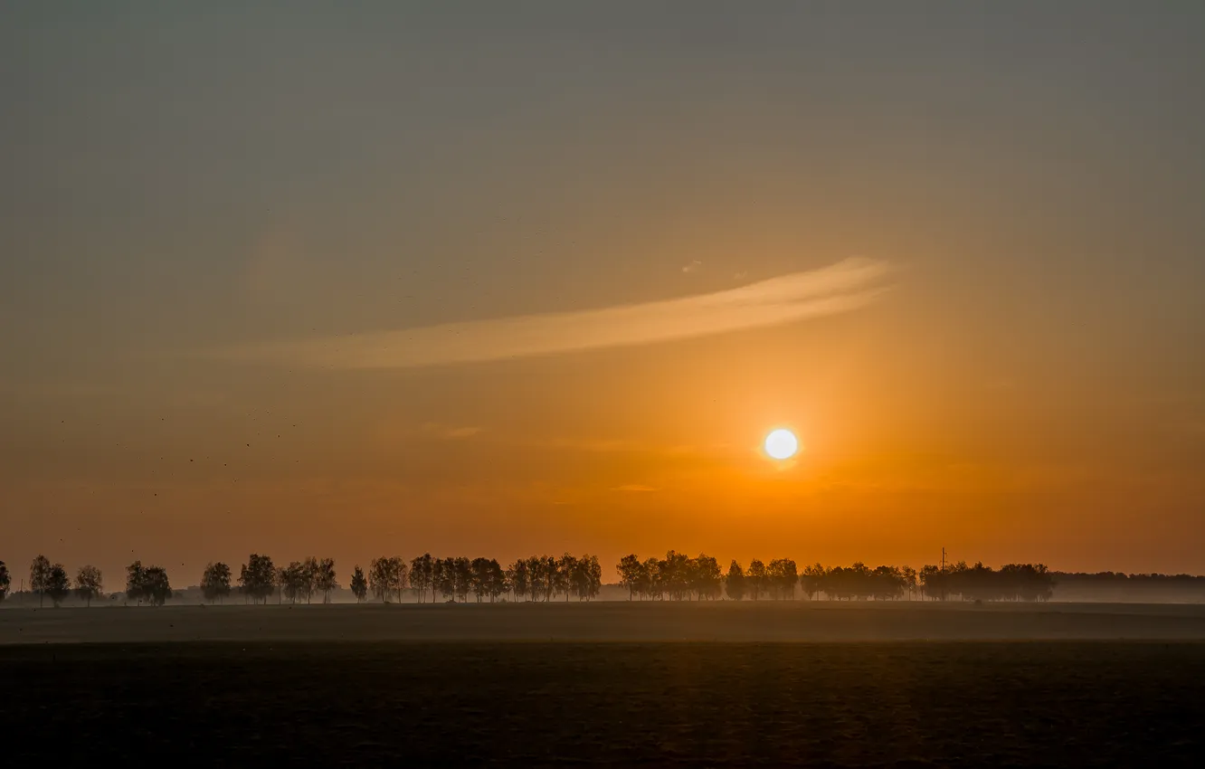 Photo wallpaper autumn, the sky, dawn, journey