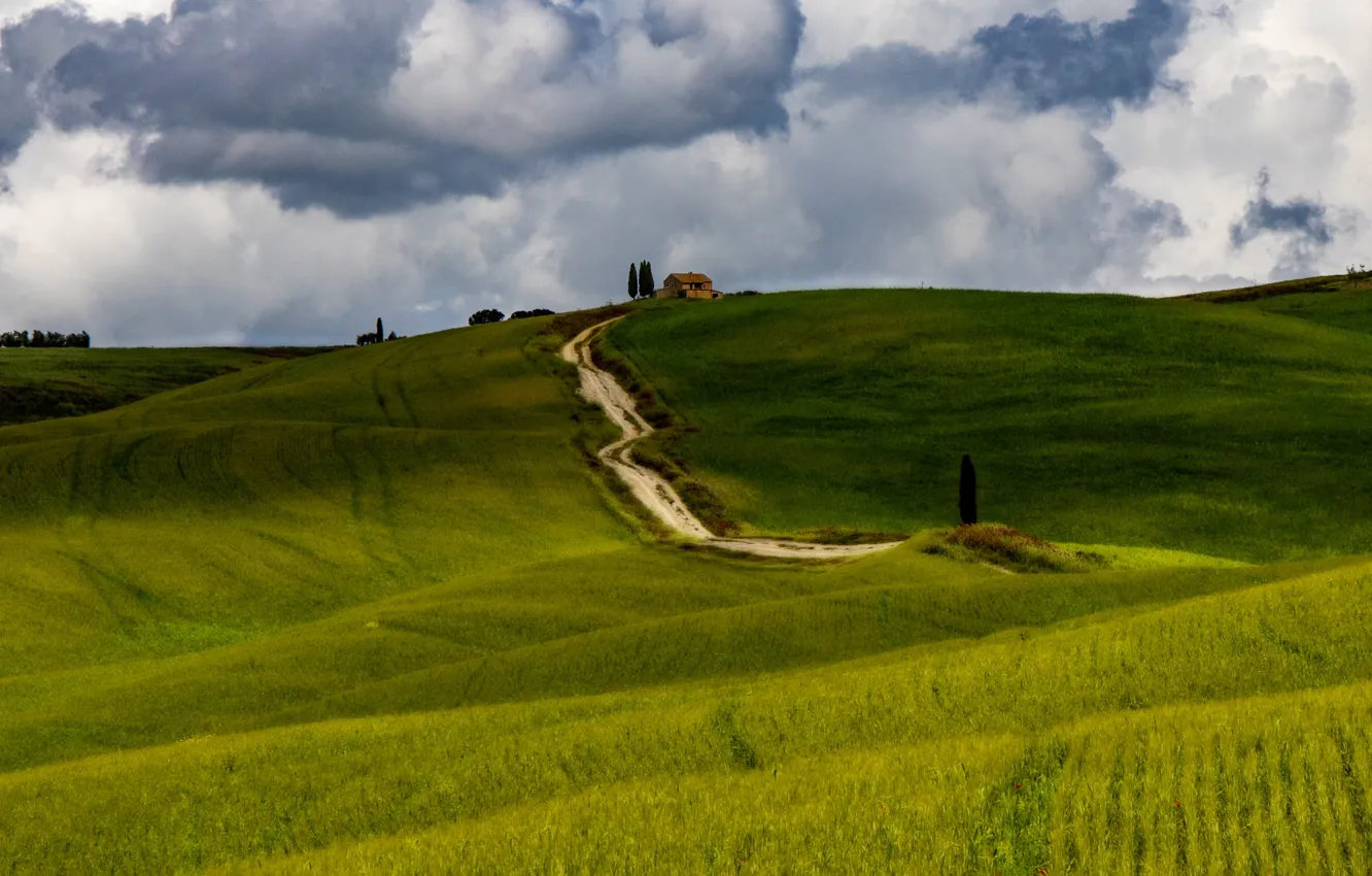 Photo wallpaper road, field, the sky, grass, clouds, hills, view, dal