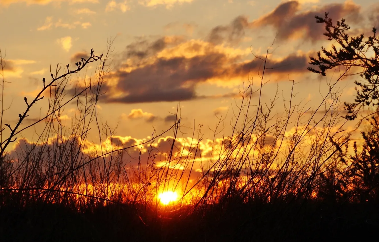 Photo wallpaper dark, sky, sunset
