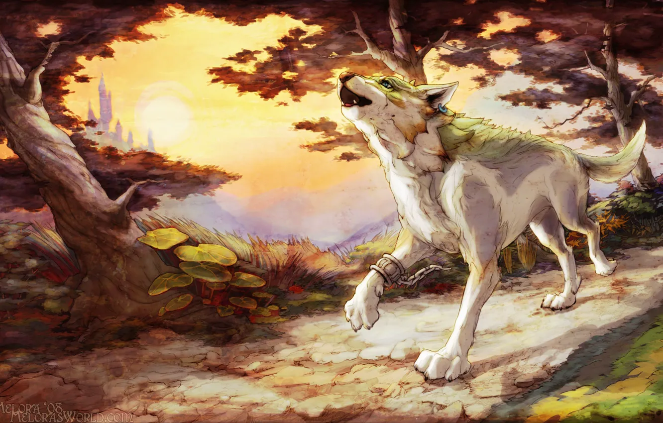 Photo wallpaper The Legend of Zelda, Link, melora