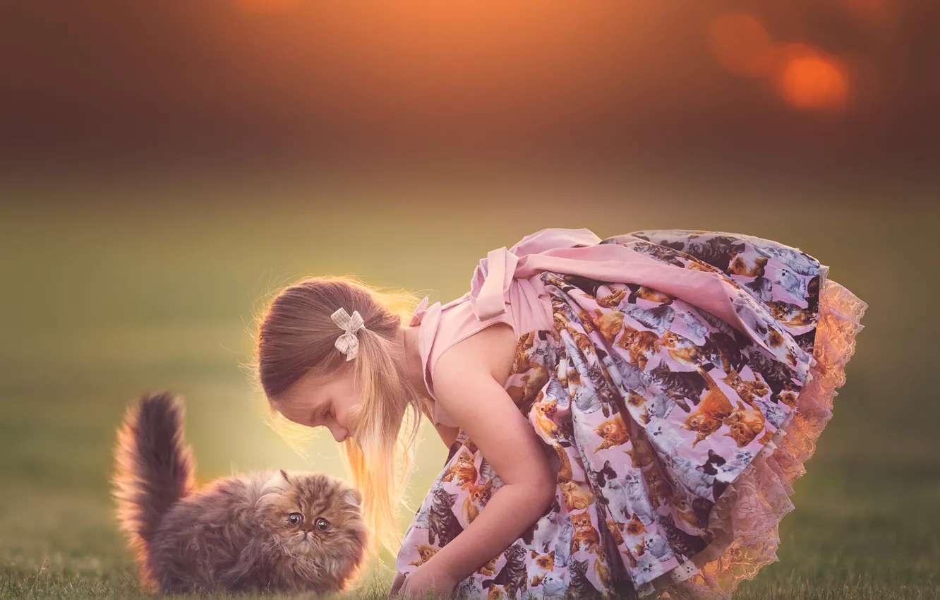 Photo wallpaper each, girl, kitty, sundress