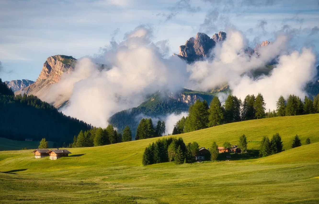 Photo wallpaper field, forest, the sky, clouds, light, mountains, fog, tops