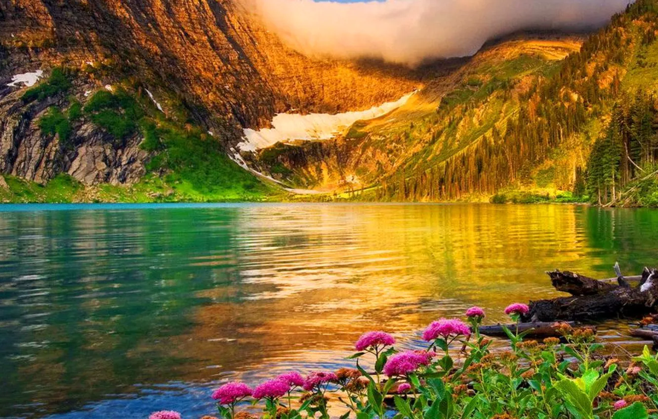 Photo wallpaper clouds, flowers, mountains, lake
