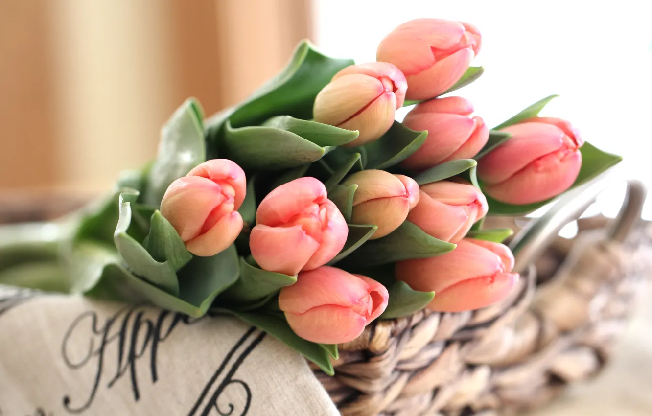 Photo wallpaper tenderness, bouquet, tulips, buds