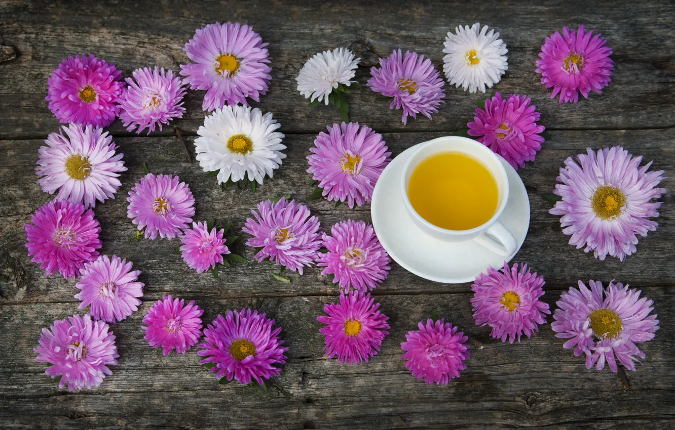 Photo wallpaper tea, Cup, pink, asters