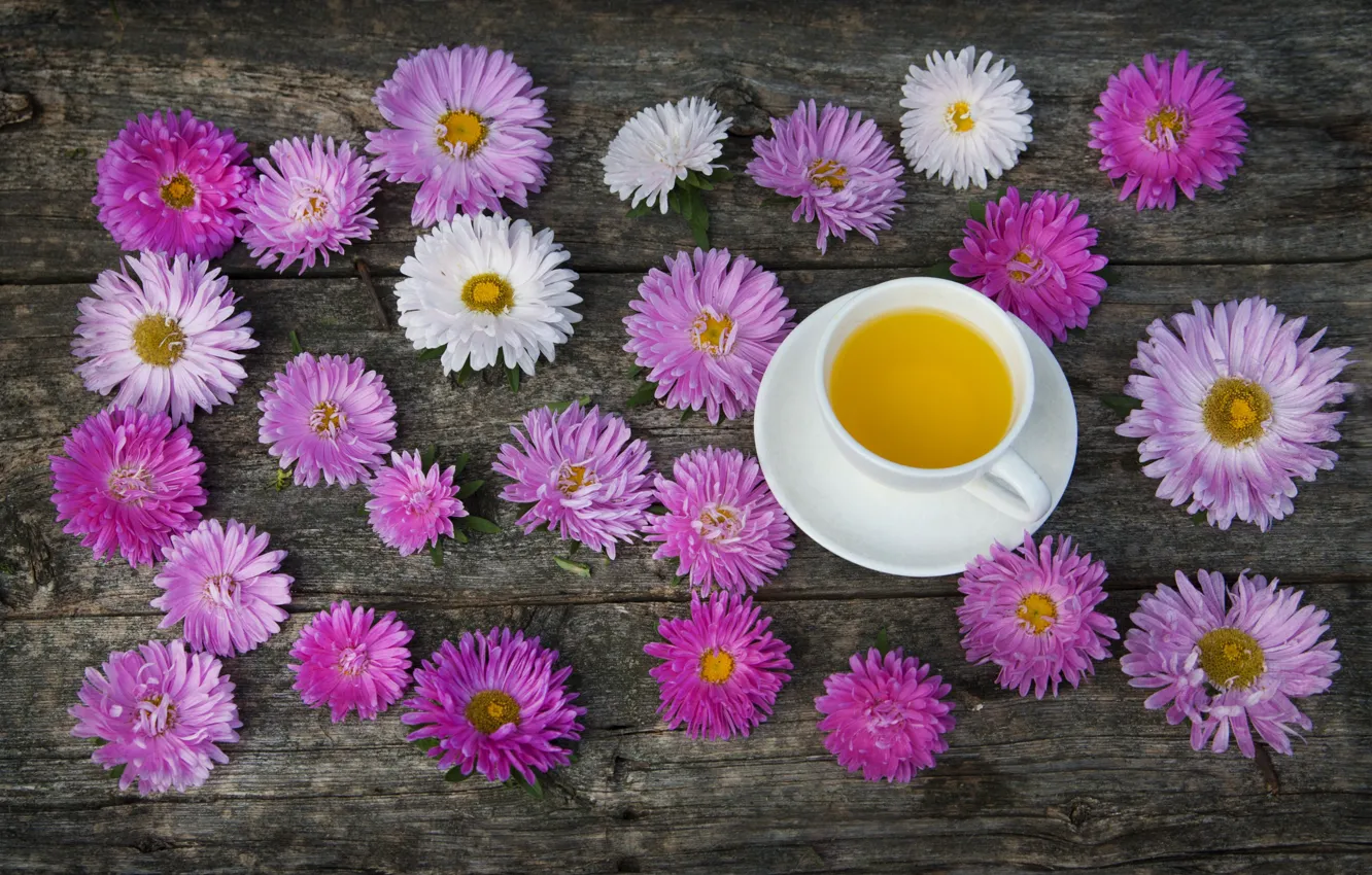 Photo wallpaper pink, tea, Cup, asters