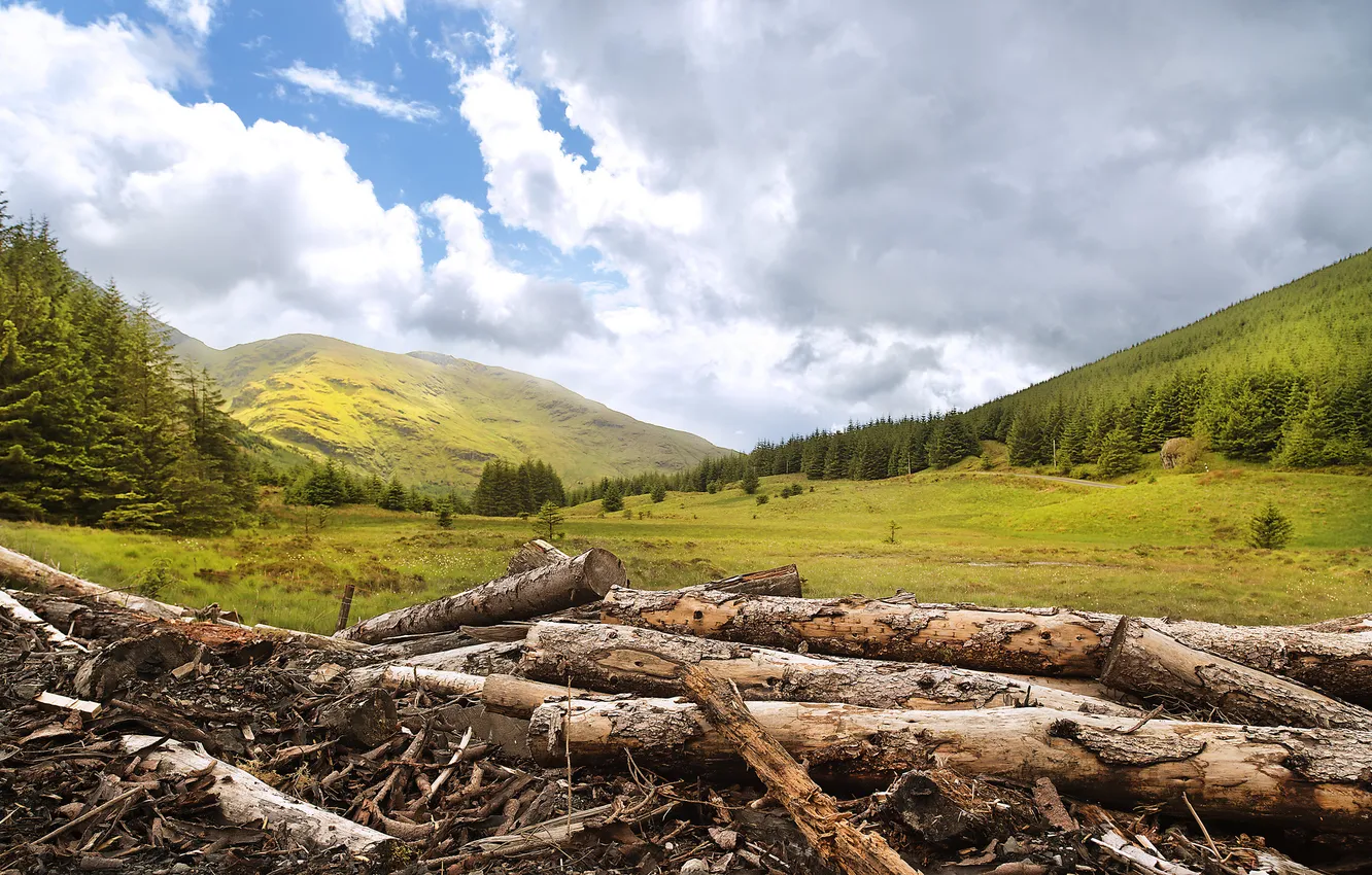 Photo wallpaper forest, mountains, log