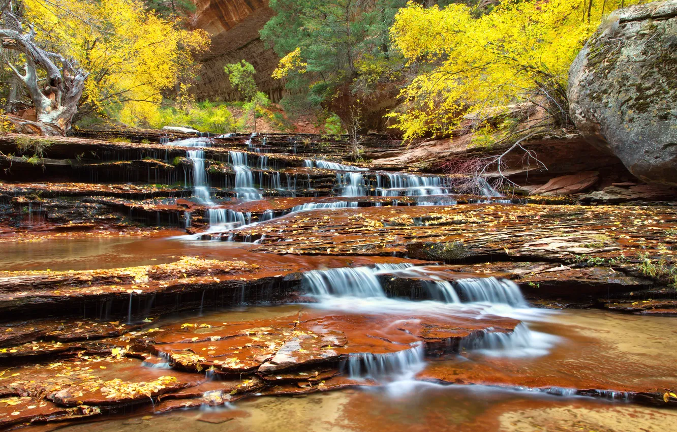 Photo wallpaper autumn, trees, river, stream, rocks, cascade