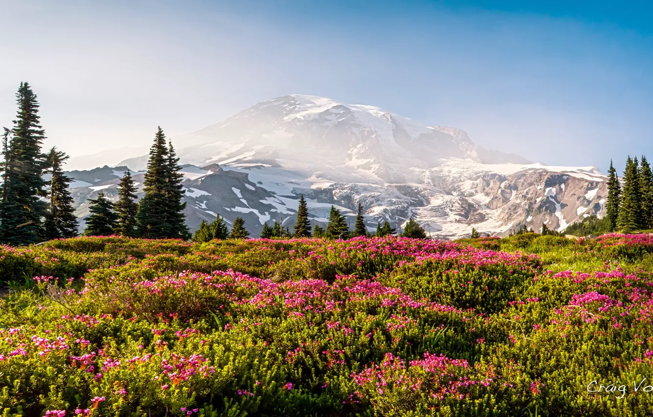 Photo wallpaper the sky, grass, the sun, snow, trees, flowers, mountains, nature