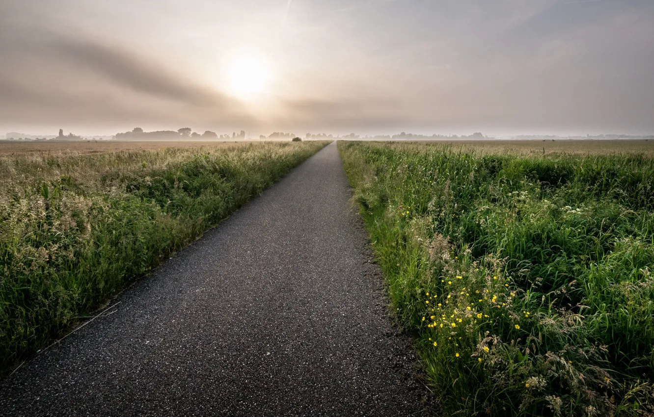 Photo wallpaper road, field, fog