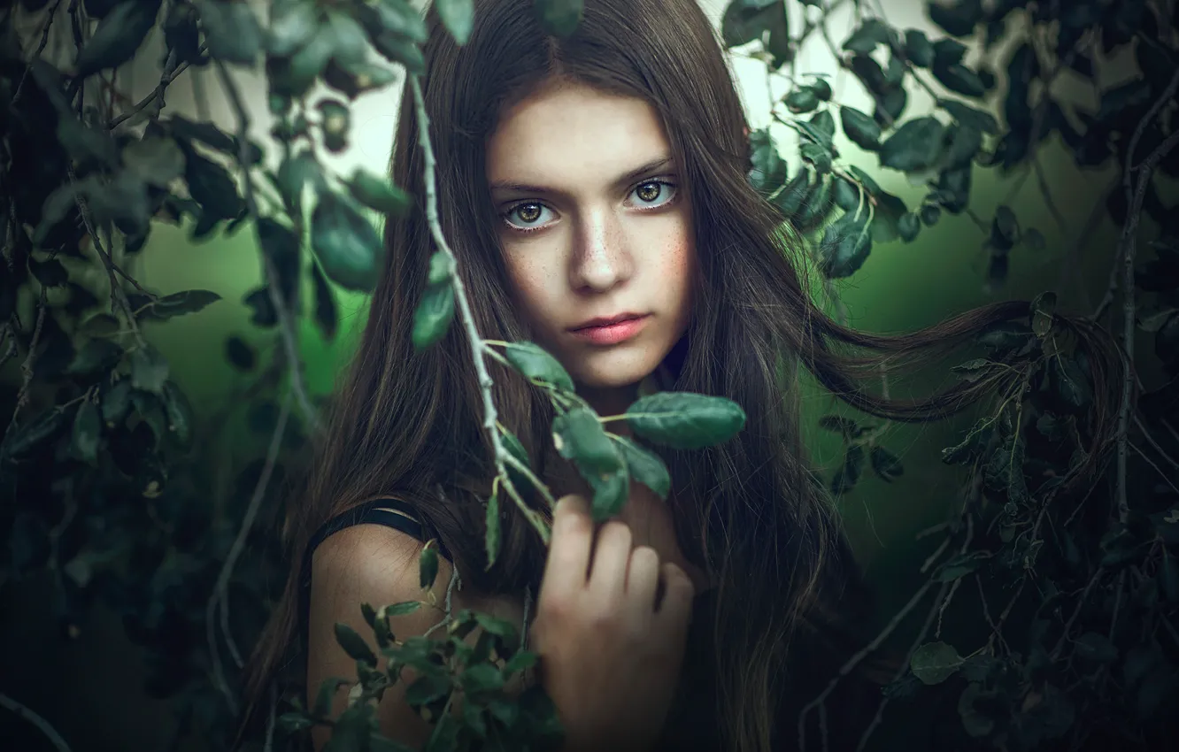 Photo wallpaper leaves, girl, branches, nature, face, Jessica Drossin
