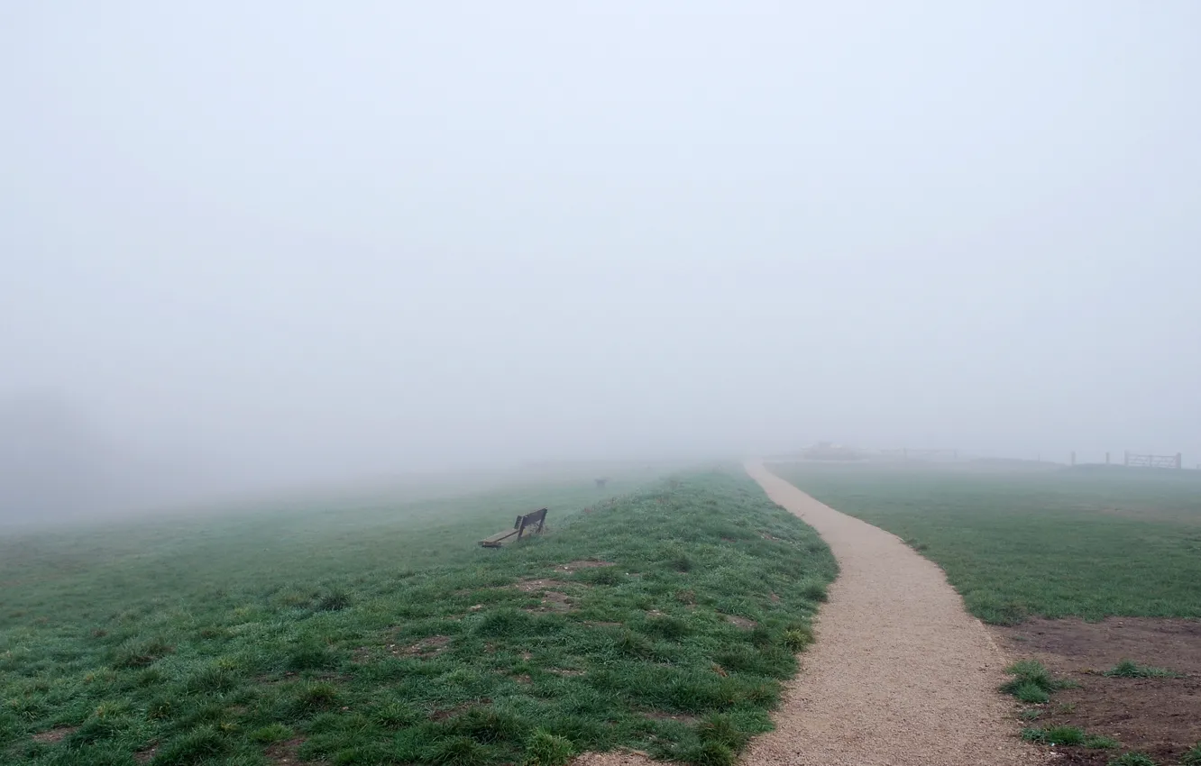 Photo wallpaper road, field, nature, fog, bench