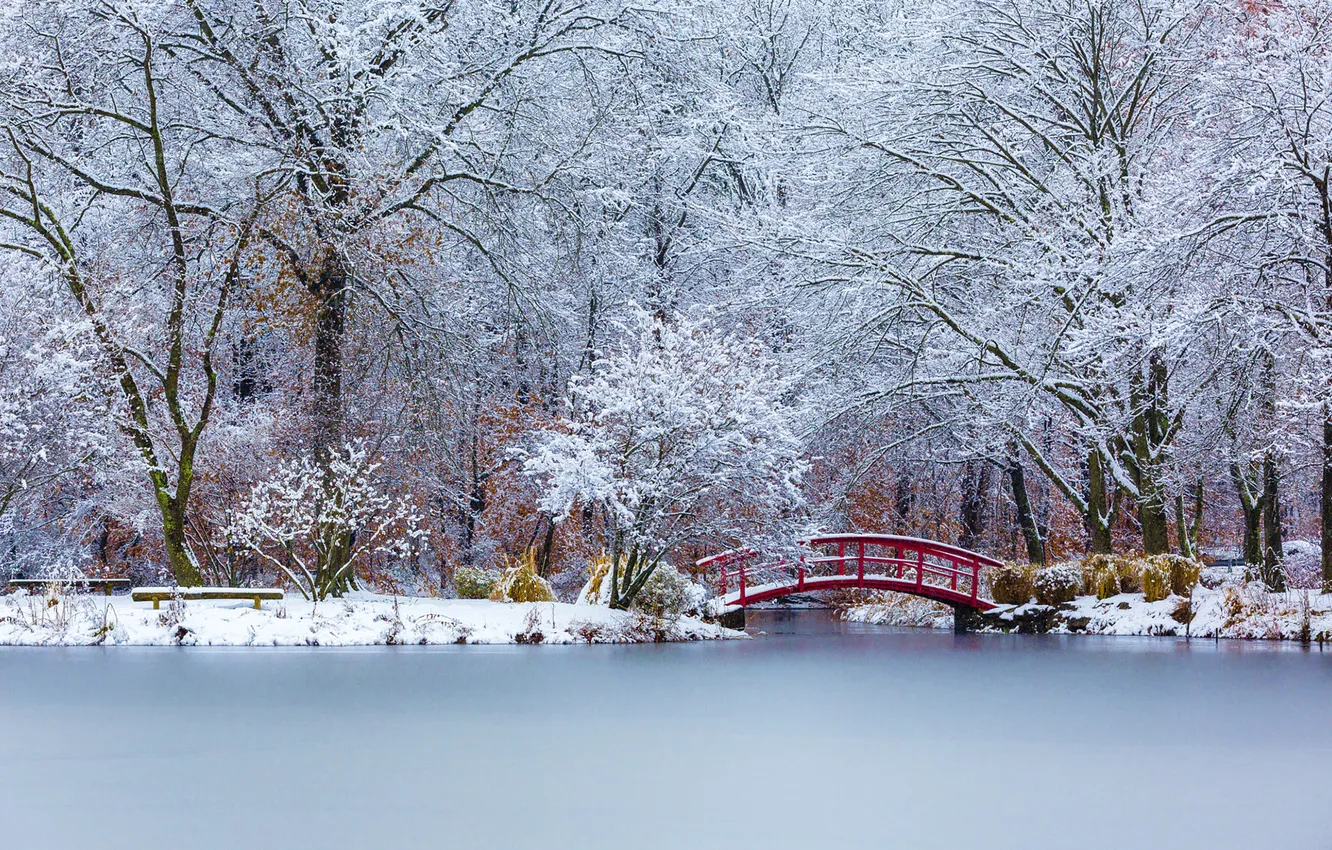 Photo wallpaper winter, bridge, nature, lake, Park