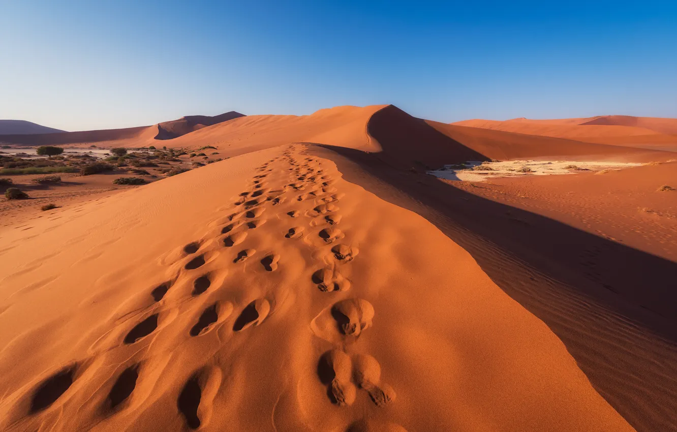 Photo wallpaper sand, traces, desert