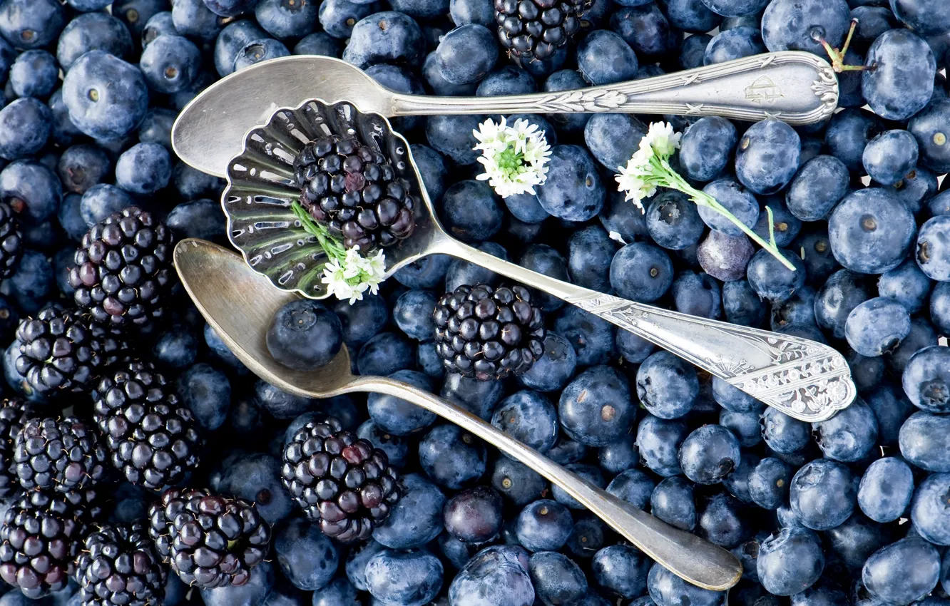 Photo wallpaper berries, blueberries, spoon, a lot, BlackBerry, Anna Verdina