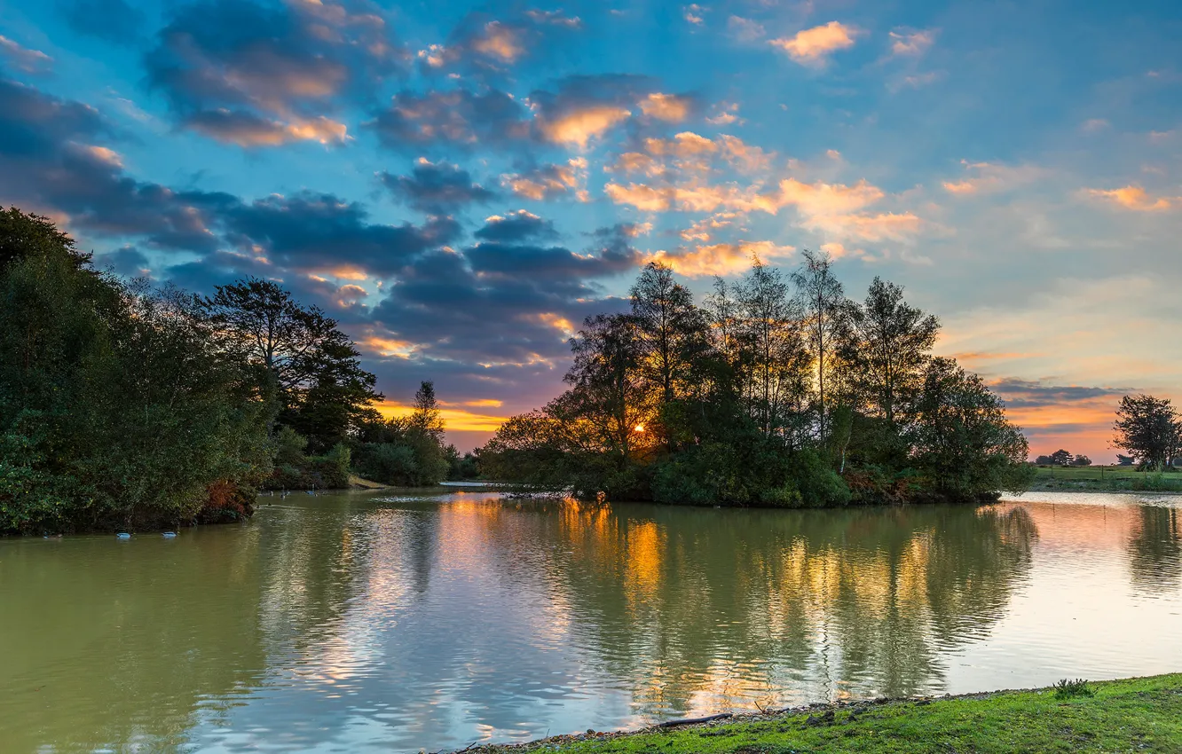 Photo wallpaper the sky, clouds, trees, sunset, river, England, the evening, Fritham