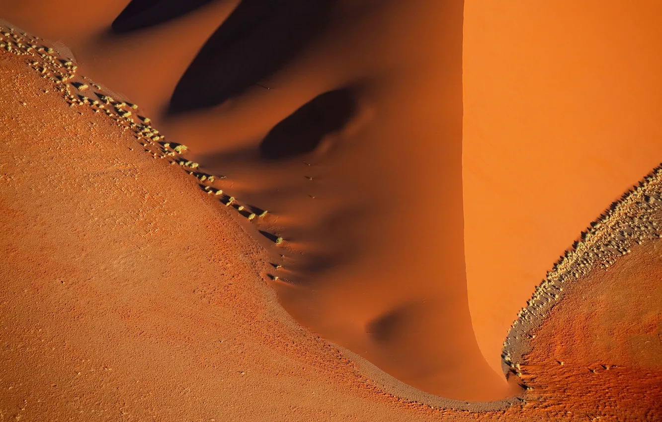 Photo wallpaper wide, desert, sand, orange, bush, umbra
