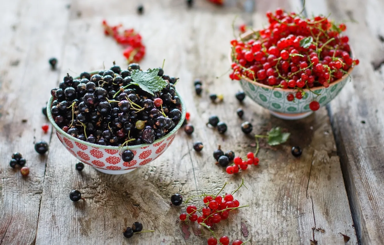 Photo wallpaper berries, placer, brush, currants
