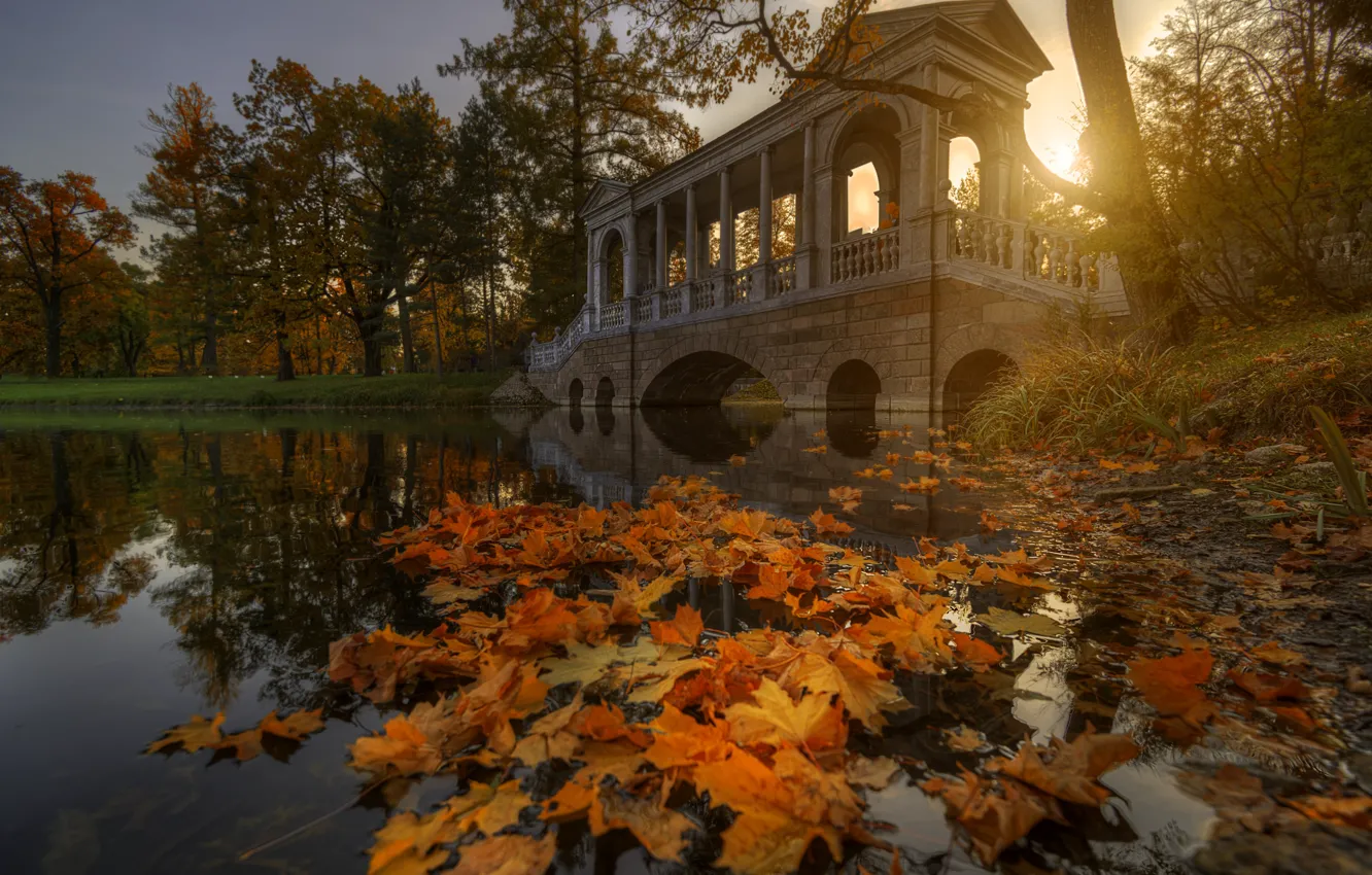 Photo wallpaper autumn, the sun, landscape, pond, Park, the evening, the bridge, Gordeev Edward